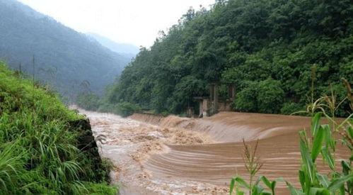 深圳爆料山洪最新消息 第3张 深圳爆料山洪最新消息 第3张